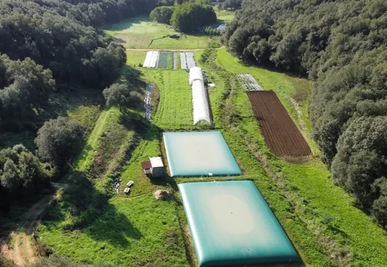 Tankkissen Regenwasser 10000 Liter: Die praktische Lösung für Gartenbewässerung und Gewächshaus